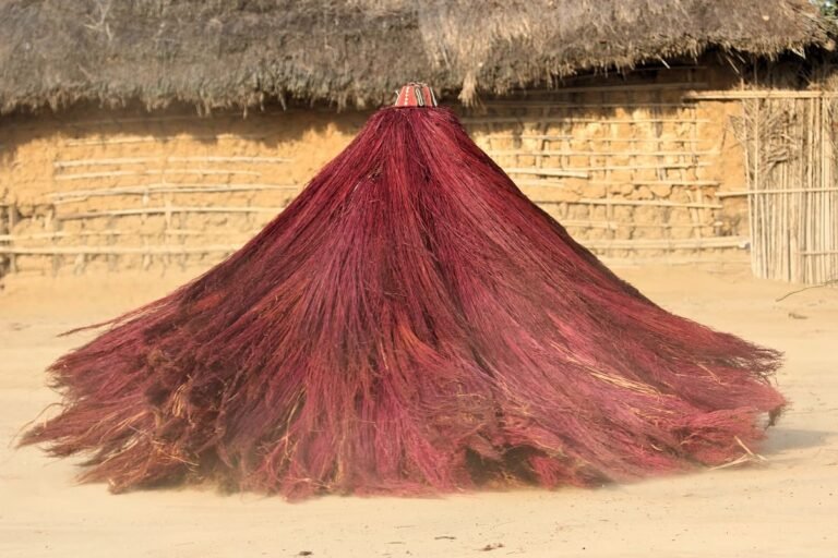 Suppression des restrictions de voyage au Bénin