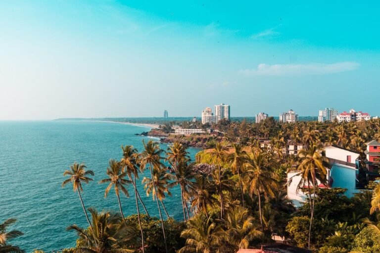 Un nouvel aéroport indien pour les titulaires de visa électronique