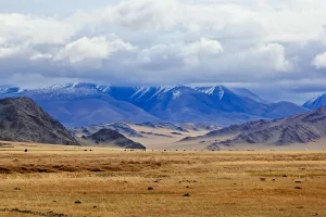 Extension de visa en ligne en Mongolie