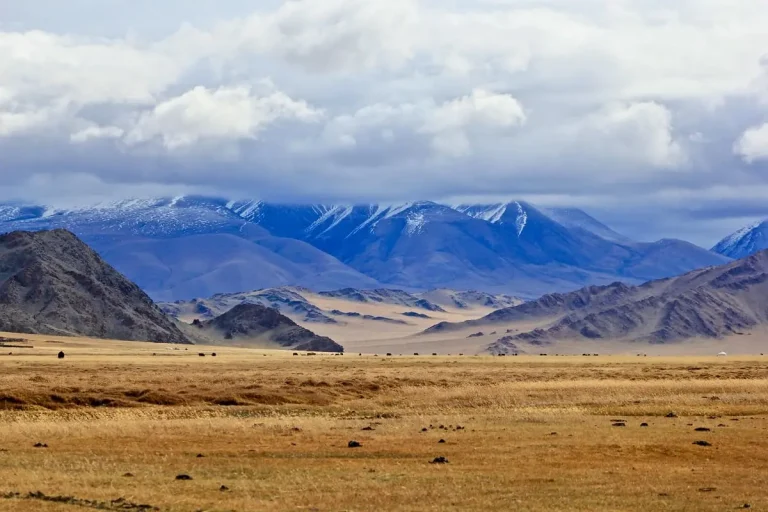 Extension de visa en ligne en Mongolie