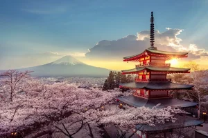 Introduction du visa électronique au Japon