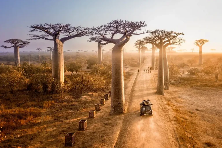Levée des restrictions sanitaires à Madagascar