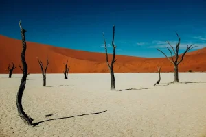 Levée des restrictions sanitaires en Namibie