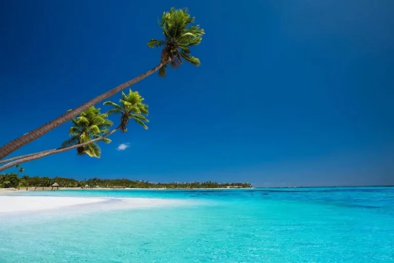 Suppression du test antigénique pour voyager à Wallis et Futuna