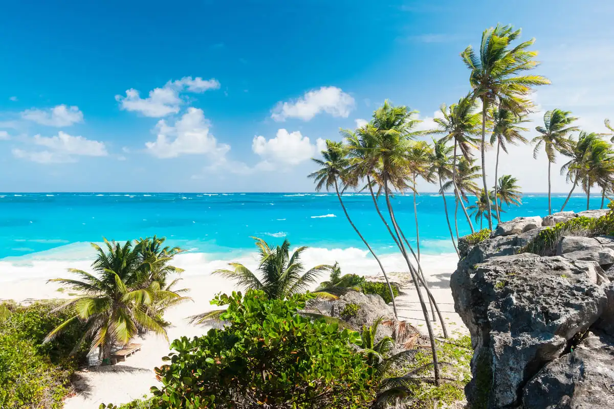 La Barbade supprime ses restrictions sanitaires de voyage