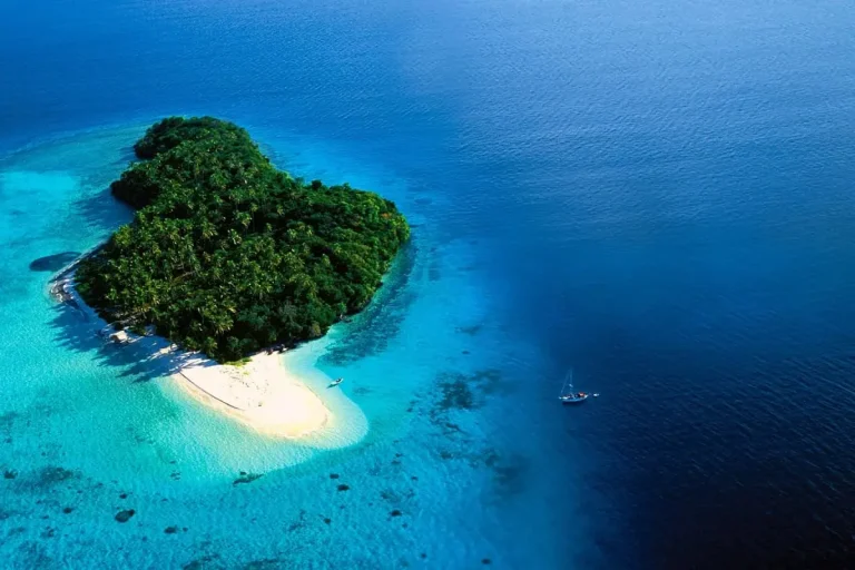 Les Tonga ne réclament plus de test Covid aux voyageurs vaccinés
