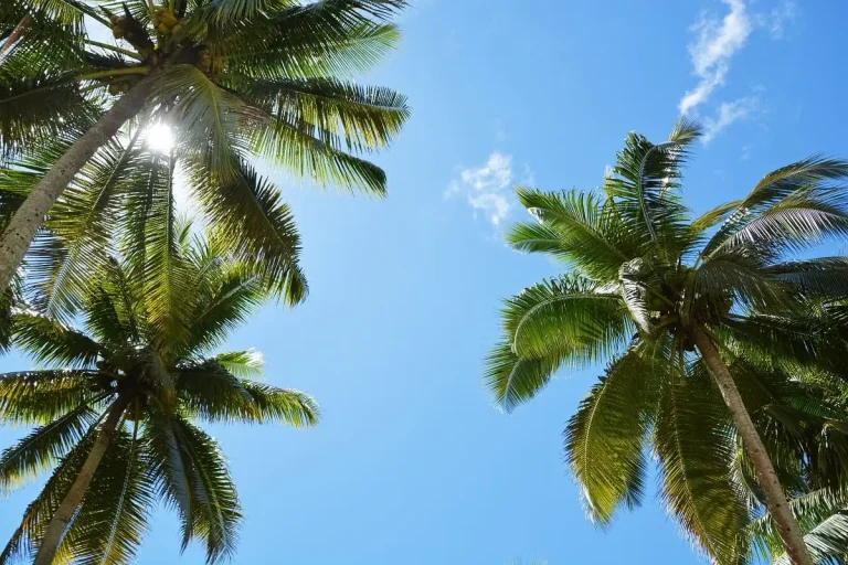 Suppression des restrictions de voyage au Vanuatu