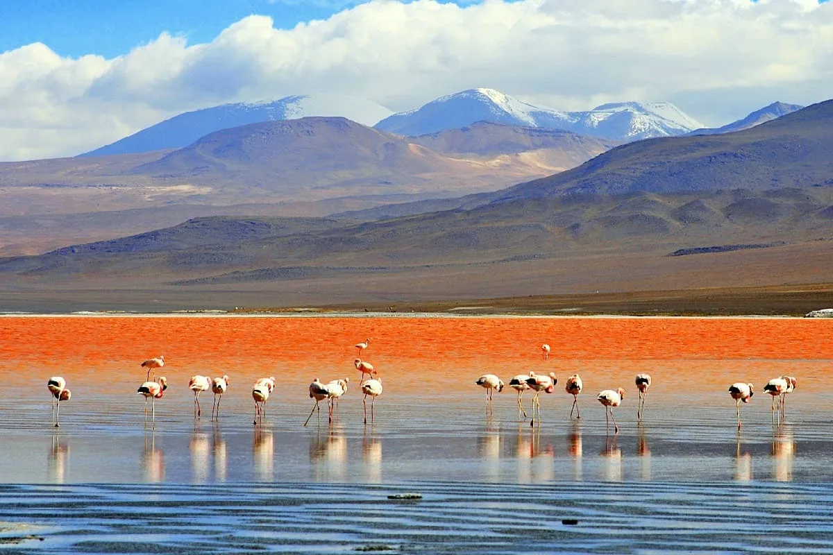 Bolivie: Les dernières formalités de voyage