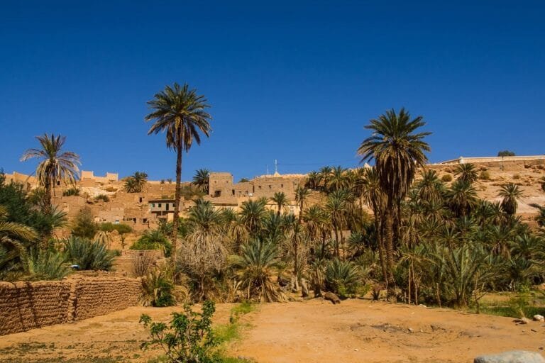 Voyage en Algérie: fin des restrictions Covid-19 aux frontières