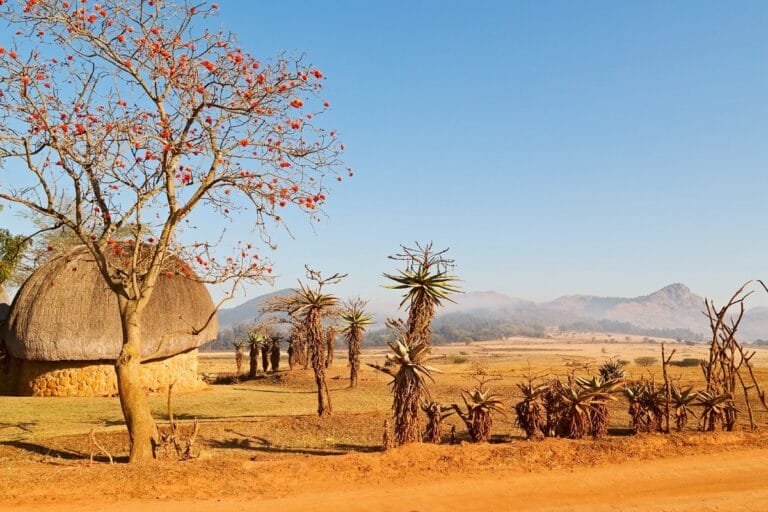 L’Eswatini abandonne ses restrictions de voyage