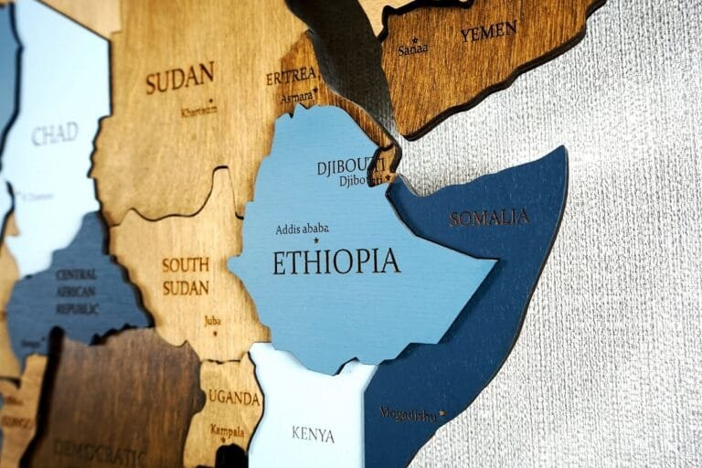 L’IGAD envisage un visa électronique commun aux pays membres