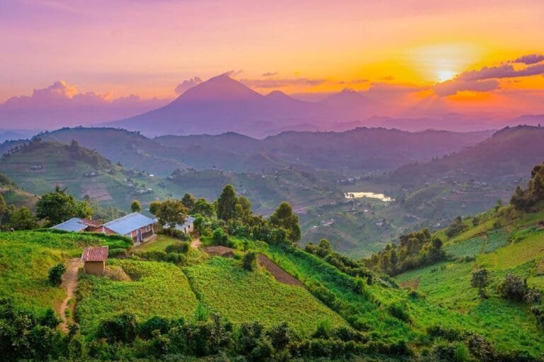 L’Ouganda n’impose plus de déclaration électronique de santé aux voyageurs