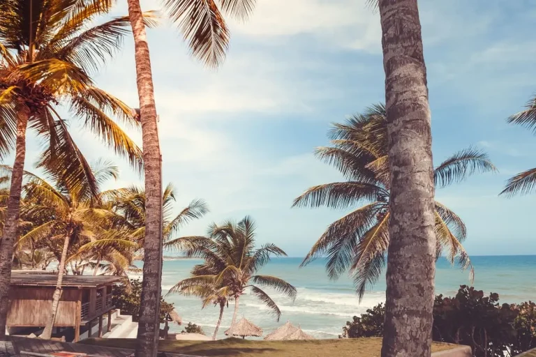 Le Venezuela allège ses protocoles sanitaires de voyage