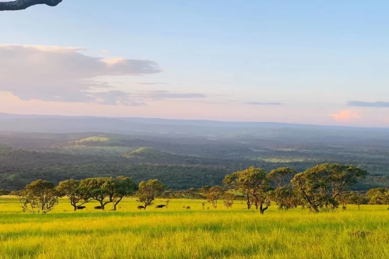 Le Burundi lève sa dernière restriction Covid de voyage