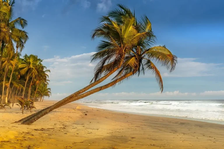 La Côte d’Ivoire assouplit ses mesures sanitaires de voyage