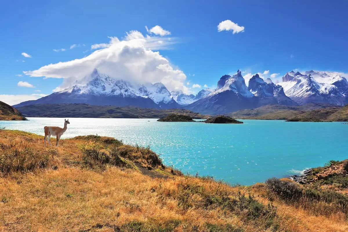 Le Chili a mis fin à ses exigences sanitaires d’entrée liées au Covid