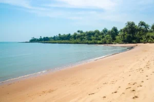La Guinée-Bissau n’impose plus de restrictions de voyage liées au Covid