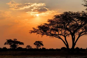 Le Zimbabwe supprime ses restrictions d’entrée liées au Covid