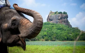 Le Sri Lanka lance un programme de visa touristique gratuit pour sept pays