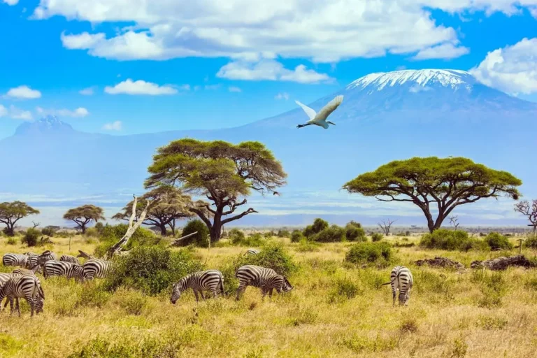 ETA Kenya: présentation du nouveau système d’autorisation de voyage électronique