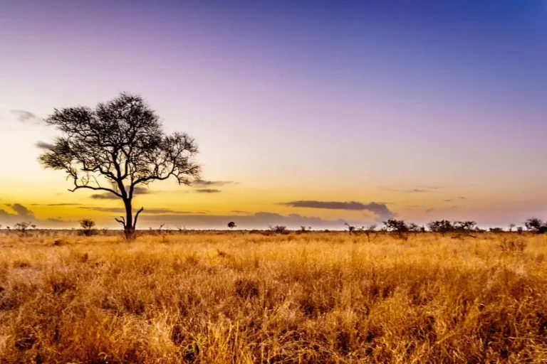 Afrique: dix actualités "visa" qui ont marqué 2023