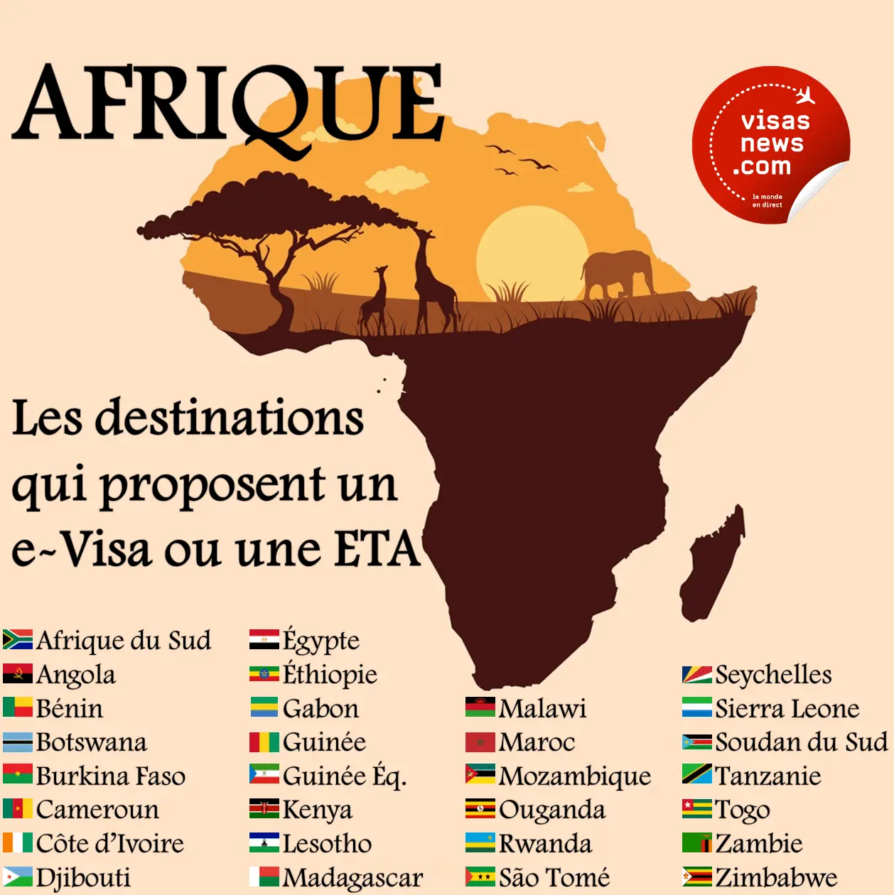 AFRIQUE - Les destinations qui délivrent un visa électronique (e-Visa) ou une autorisation de voyage électronique (eTA)