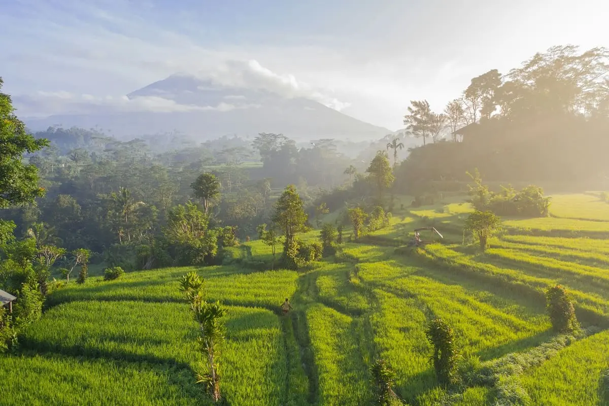 Les merveilles de l’Indonésie : activités incontournables pour un voyage mémorable