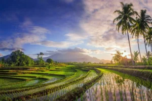 Love Bali : le portail pour payer la taxe touristique est fonctionnel