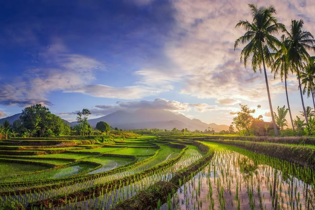 Love Bali : le portail pour payer la taxe touristique est fonctionnel