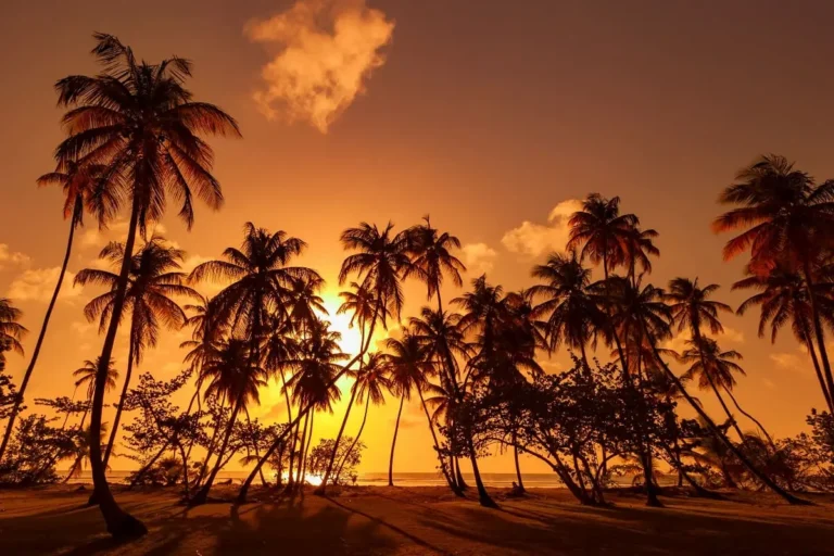 Trinité-et-Tobago : le visa électronique en approche