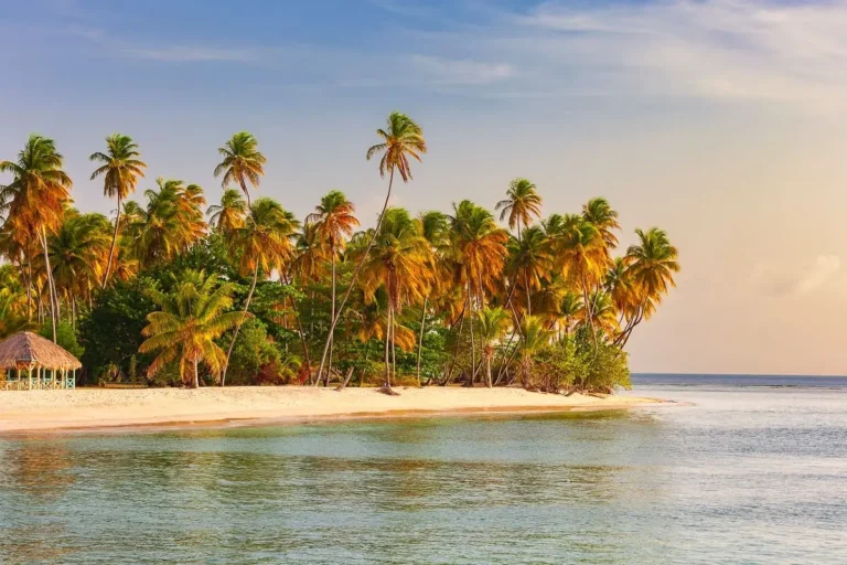 Trinité-et-Tobago lance son visa électronique