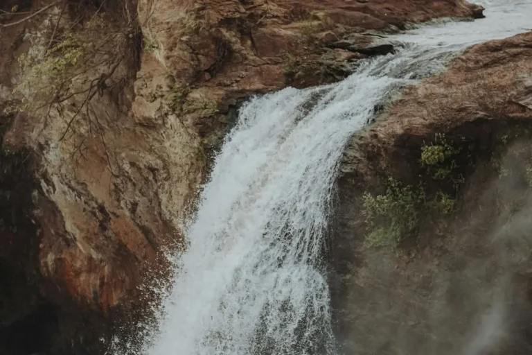 Les incontournables à voir et à faire lors d’un safari en Ouganda