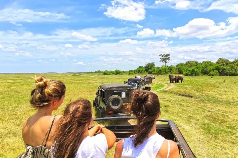 En 2024, 700 000 touristes ont visité le Kenya grâce à l’ETA