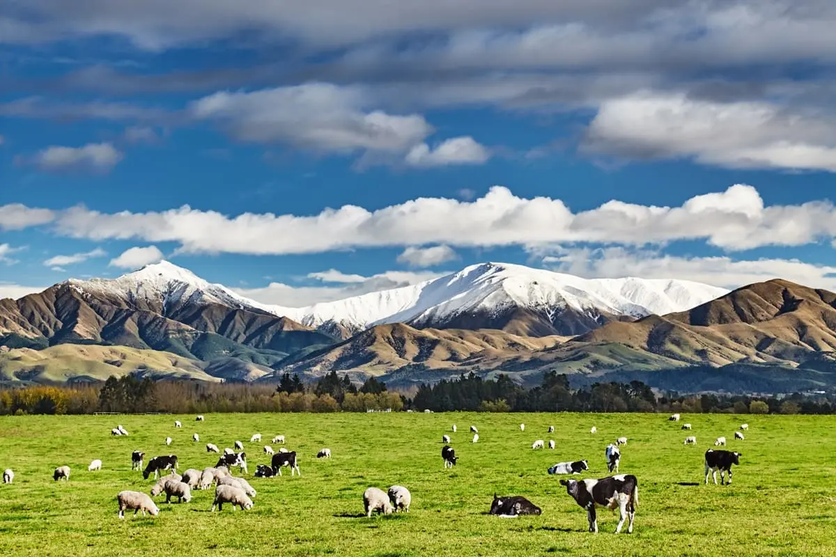 New Zealand raises the price of its tourist levy (and therefore of the NZeTA)