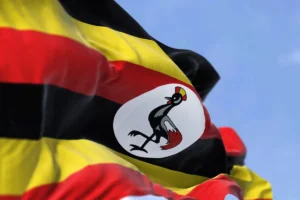 Uganda: Visa issued on arrival due to e-Visa portal malfunction