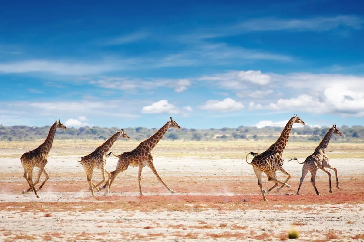 Namibia now imposes visa requirements on 33 nationalities
