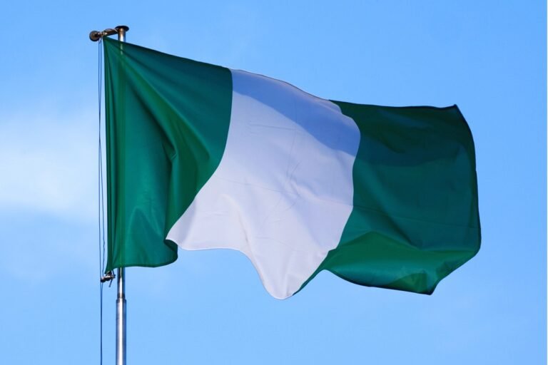 Nigeria : le visa électronique et la carte d’arrivée numérique débarquent le 1er mai 2025