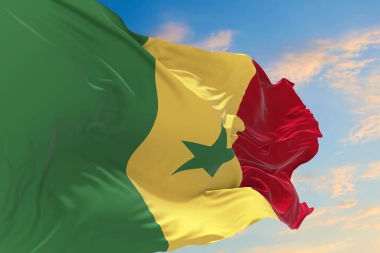 Senegal: electronic visa soon to be mandatory for countries that do not apply reciprocity