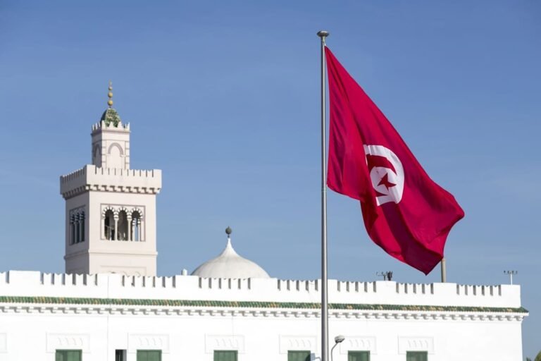 Tunisie : l’appel d’offres pour le développement de la plateforme e-Visa déclaré "infructueux"