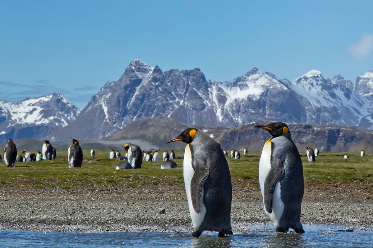 An ETA will soon be required to visit South Georgia and the South Sandwich Islands