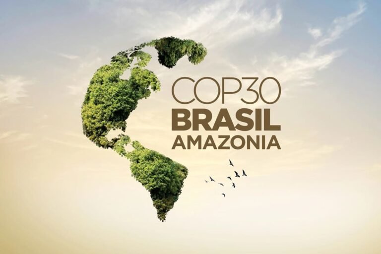 Brasil expedirá un visado electrónico gratuito a los participantes de la COP 30