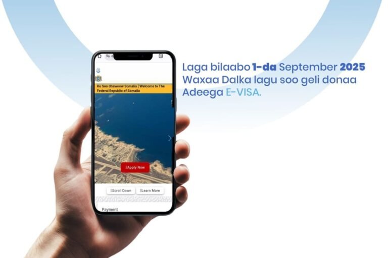 Somalia: el e-Visa impugnado por Puntlandia y Somalilandia