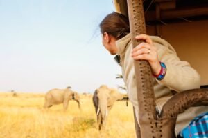 Comment bien préparer son safari en Tanzanie en 2026 ?
