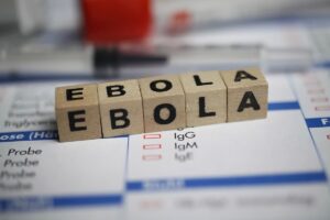 Ebola : plusieurs pays renforcent leurs contrôles sanitaires aux frontières
