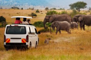 Le Kenya apporte des précisions sur sa nouvelle assurance voyage obligatoire et son contrôle via l'ETA
