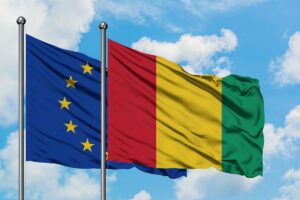 Guinée : le visa passe à 100 dollars et le délai à 45 jours pour les ressortissants de l’UE