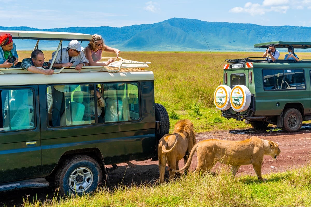 Tanzania: Regulations published for mandatory $44 travel insurance
