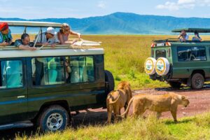 Tanzanie : le règlement de l’assurance voyage obligatoire à 44 US$ est publié