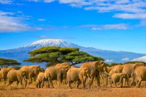 Tanzania: el seguro de viaje obligatorio entrará en vigor el 1 de octubre de 2026
