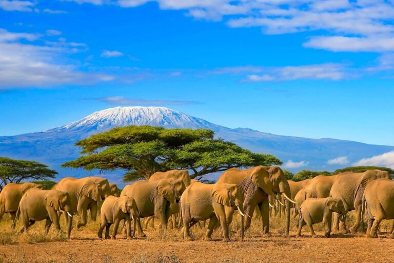 Tanzania: el seguro de viaje obligatorio entrará en vigor el 1 de octubre de 2026